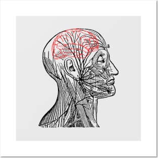 Brain Posters and Art